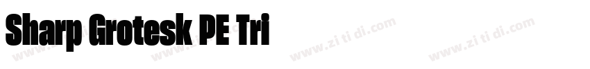 Sharp Grotesk PE Tri字体转换